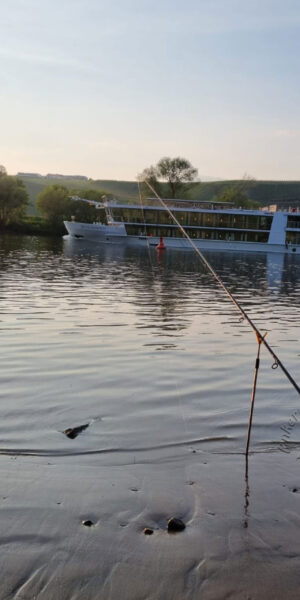 PanoramaBildMosel10