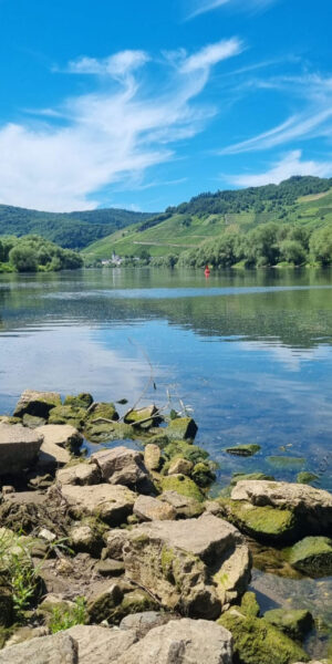 PanoramaBildMosel5