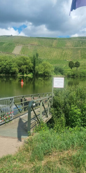 PanoramaBildMosel7