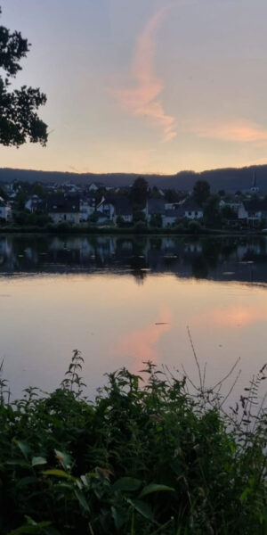 PanoramaBildMosel8